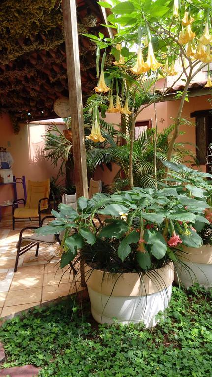 Eco Jardim Do Eden 賓館 *