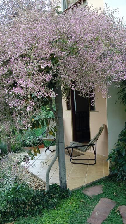 Eco Jardim Do Eden 賓館 Alto Paraíso de Goiás